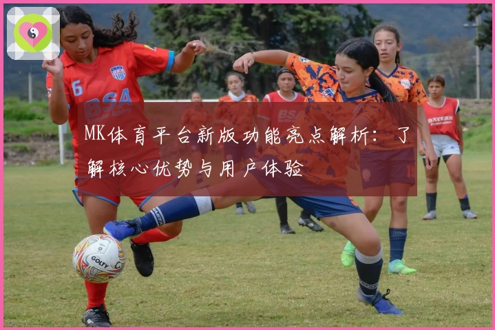 MK体育平台新版功能亮点解析：了解核心优势与用户体验
