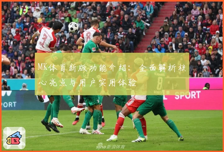 MK体育新版功能介绍：全面解析核心亮点与用户实用体验